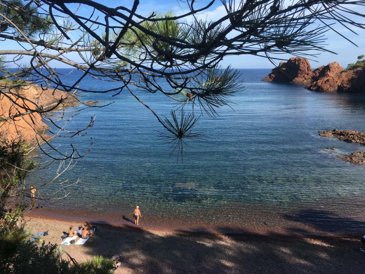 "Les Alizes" Cote Jardin Proche Bord De Mer Saint-Raphaël Εξωτερικό φωτογραφία