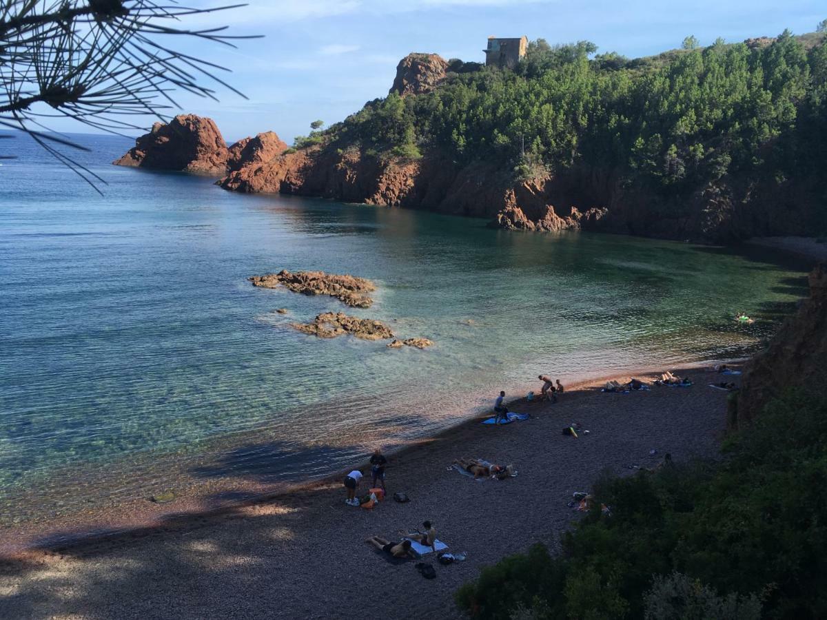 "Les Alizes" Cote Jardin Proche Bord De Mer Saint-Raphaël Εξωτερικό φωτογραφία